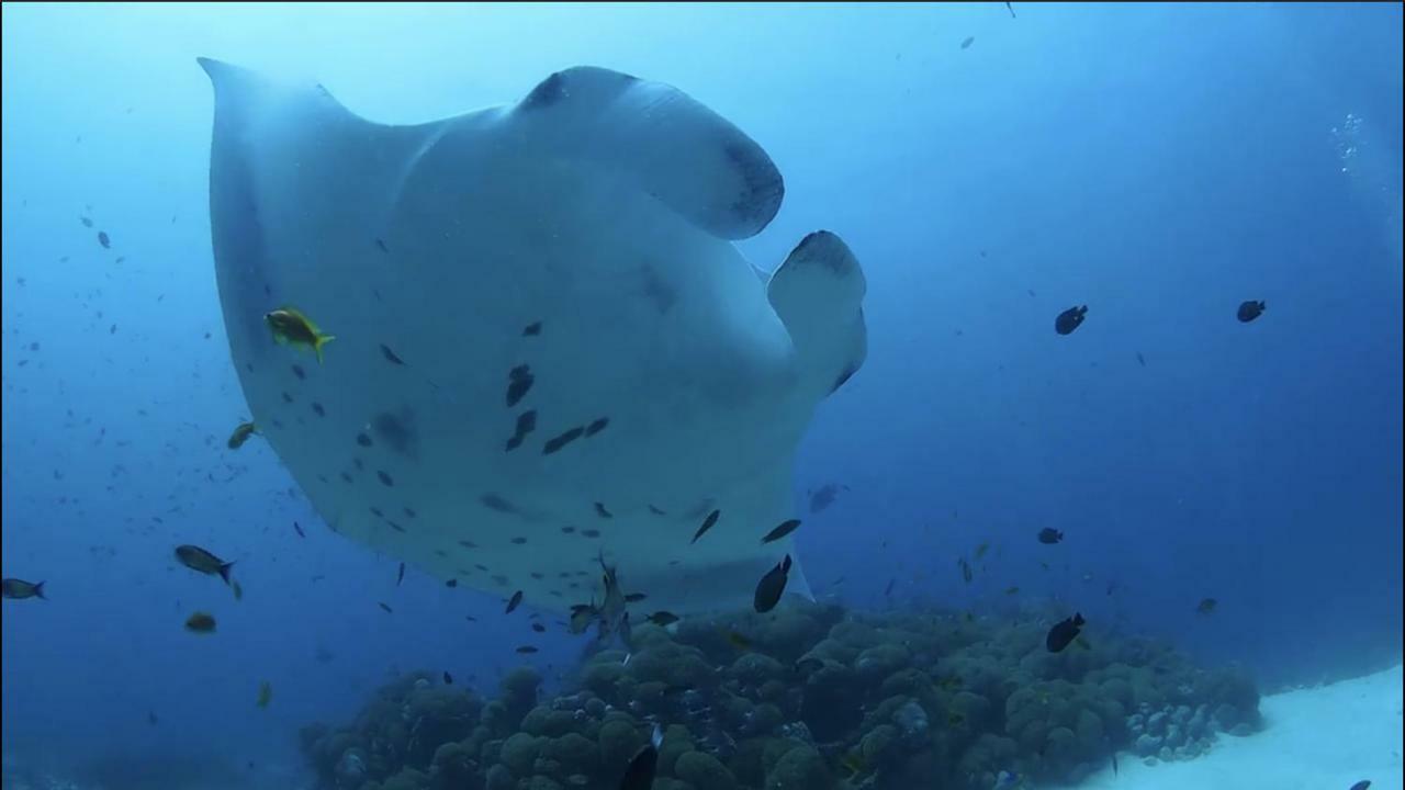 White Sand Dhigurah Дигура Экстерьер фото