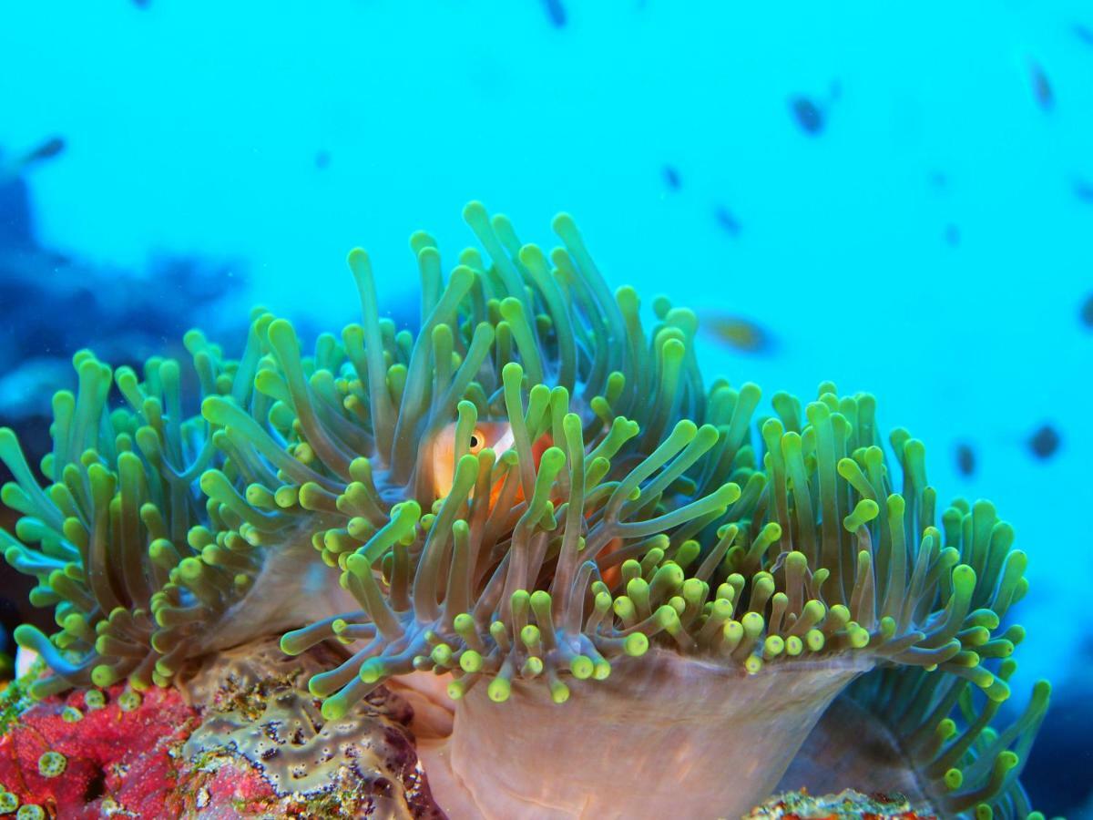 White Sand Dhigurah Дигура Экстерьер фото