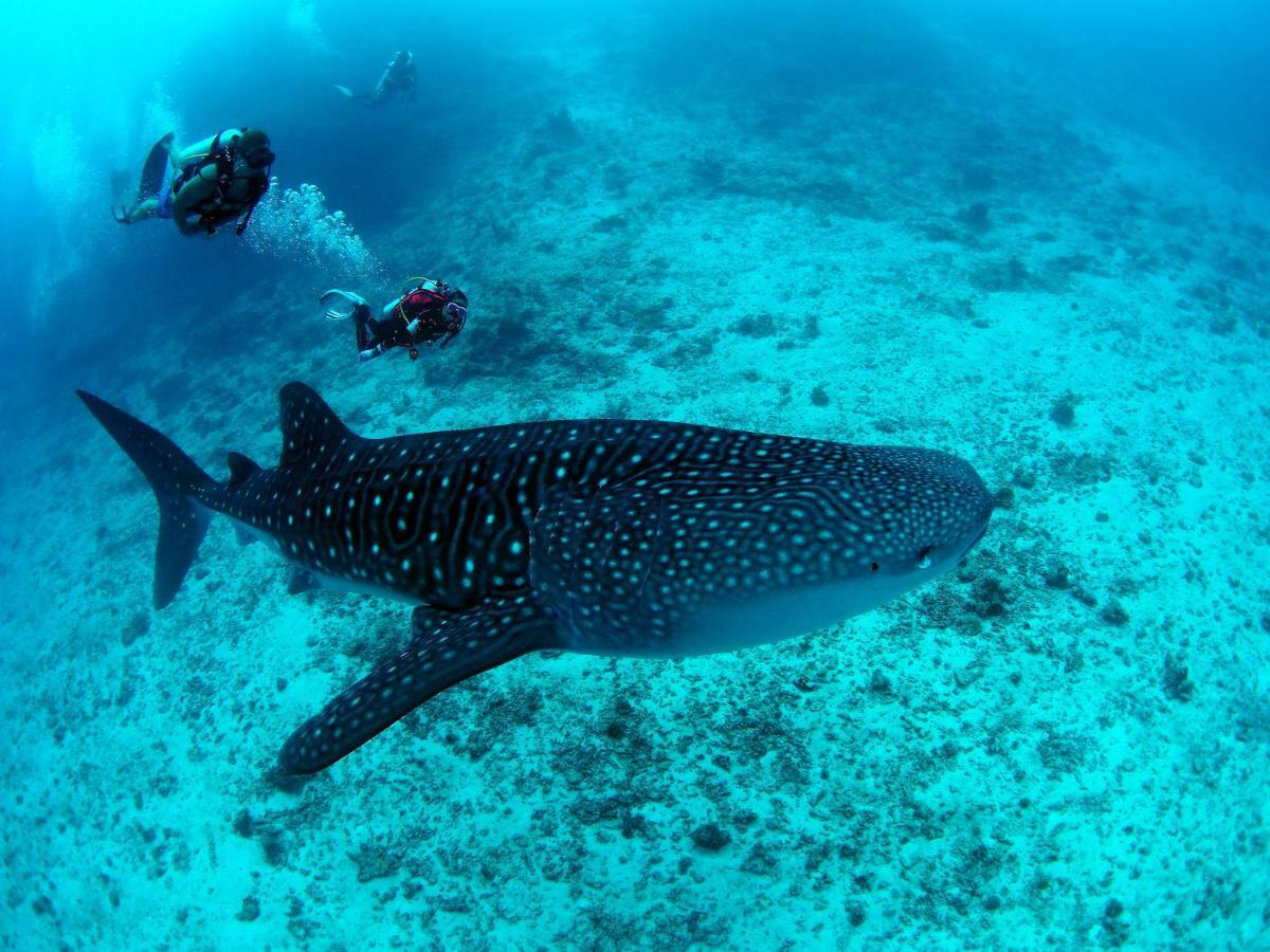 White Sand Dhigurah Дигура Экстерьер фото