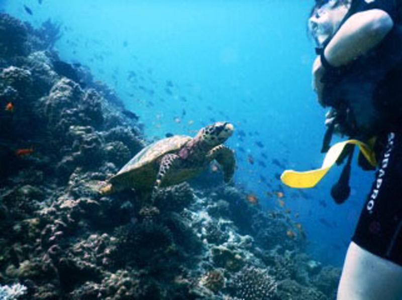White Sand Dhigurah Дигура Экстерьер фото